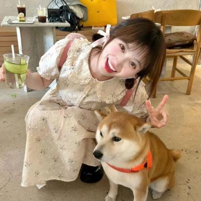 梦里花落知多少